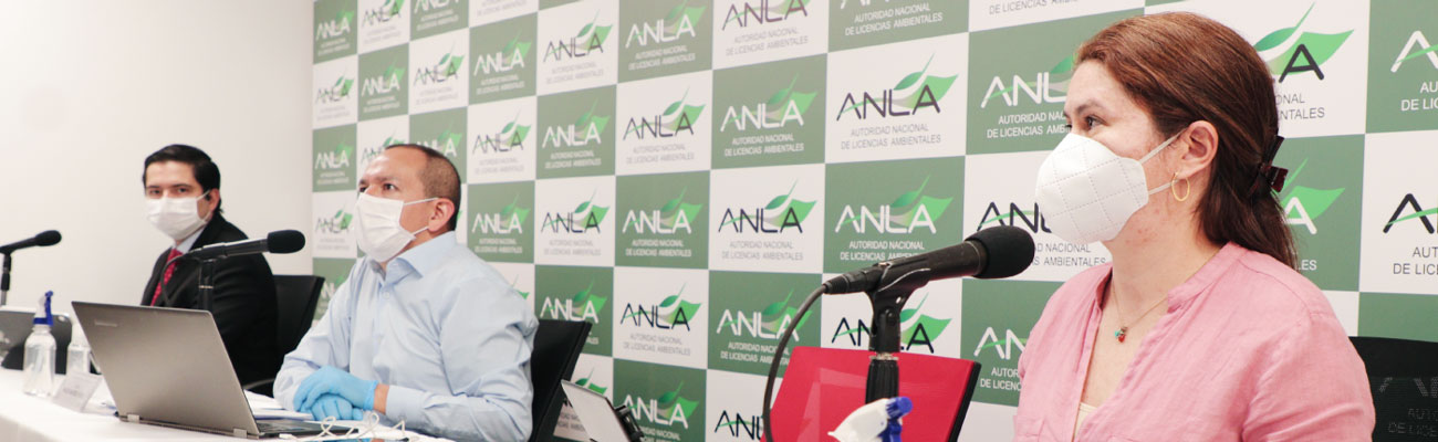 reunión informativa no presencial convocada por la ANLA