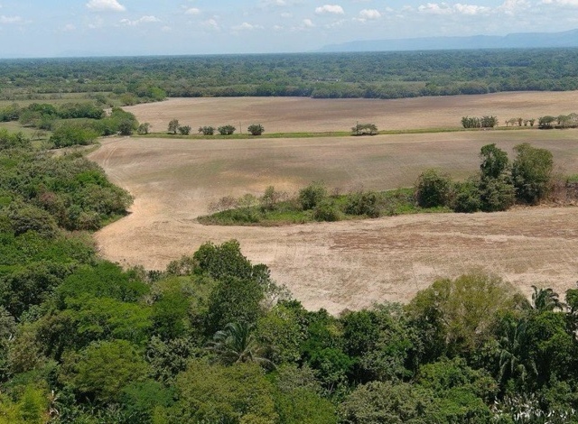 Panorámica del proyecto “Licencia Ambiental Título Minero IKK15371”