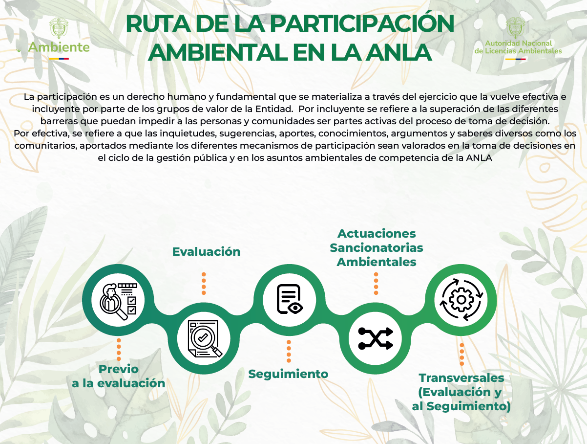 Infografía Participación 1