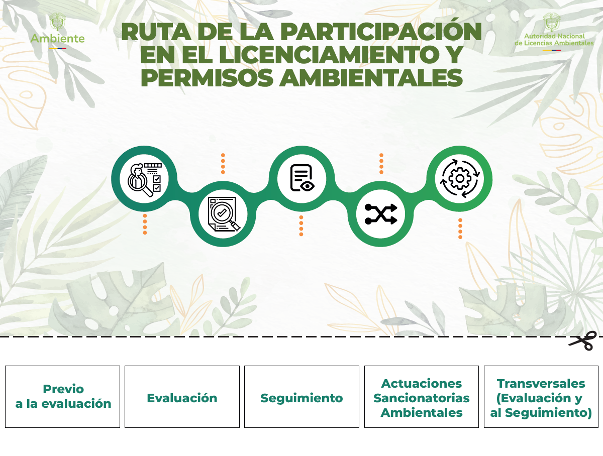 Infografía Participación 2