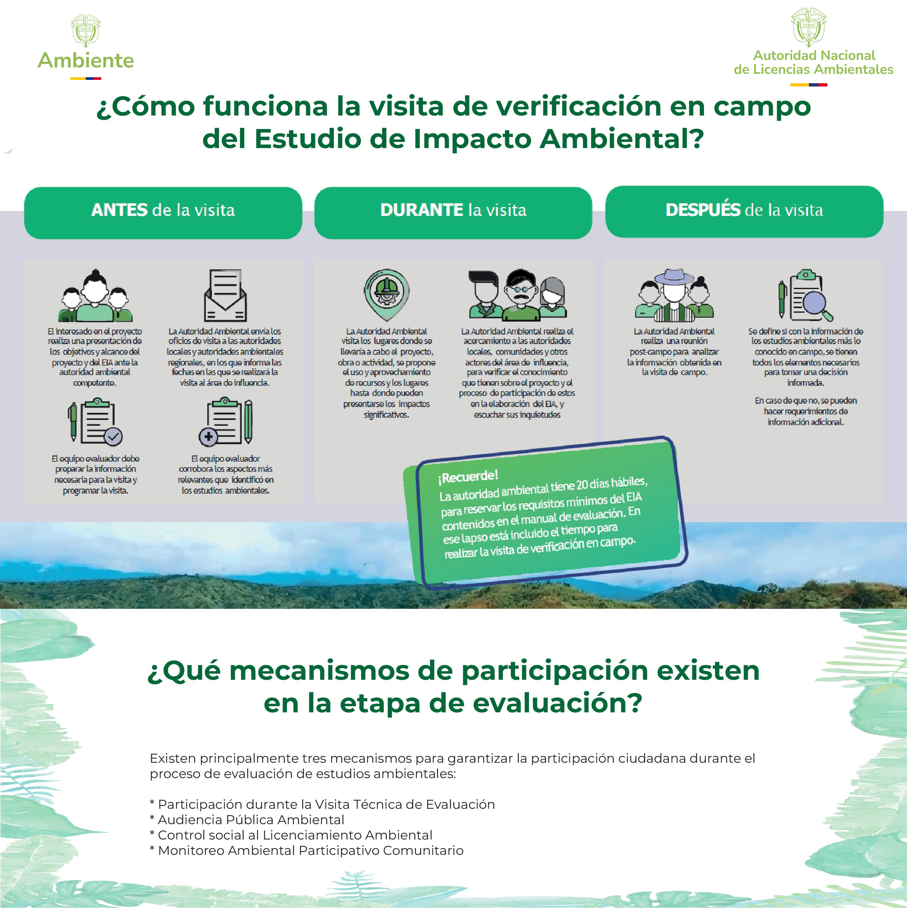 Infografía Evaluación de Estudios Ambientales 3