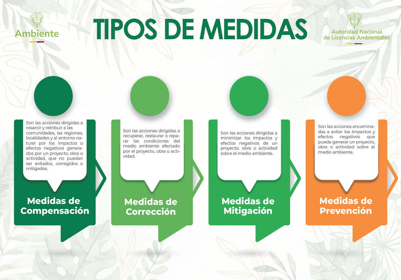 Infografía Tipos de Medidas