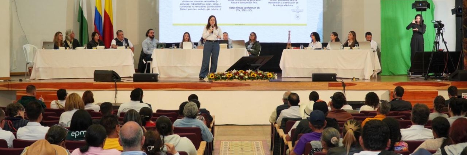 Imagen de referencia de RI del Proyecto Interconexión Carrieles a 230 mil voltios