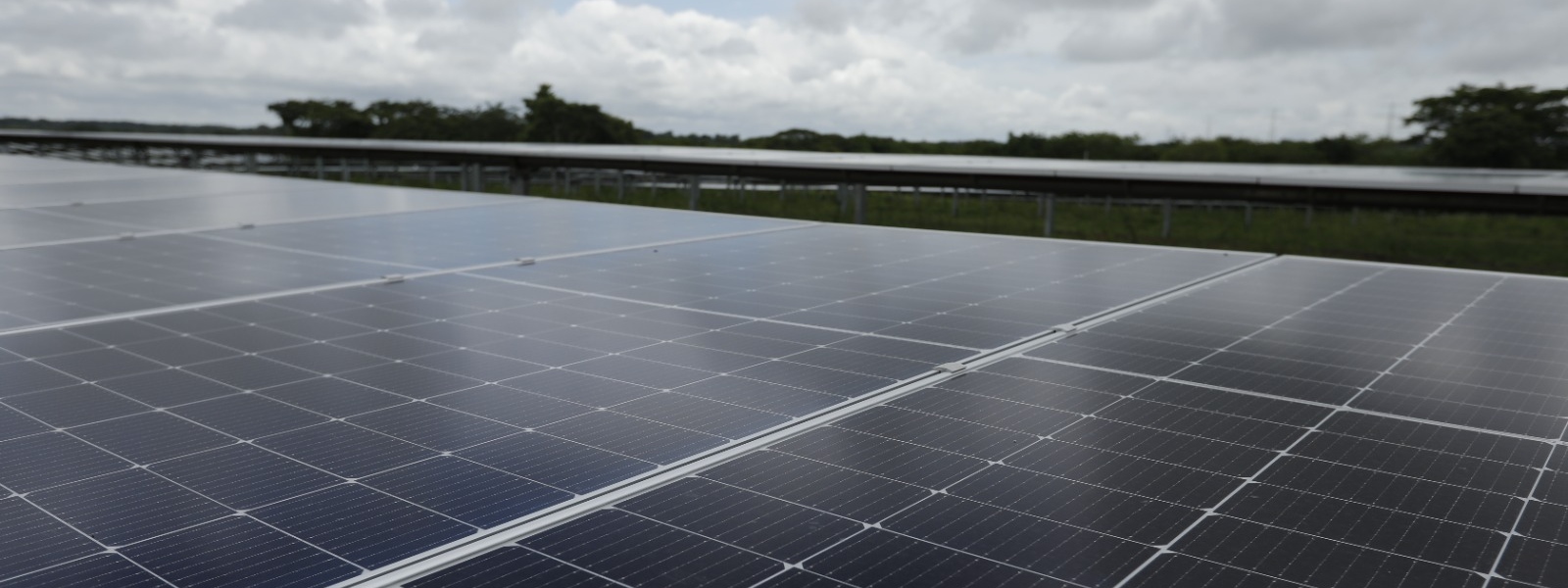Imagen de paneles solares de un parque solar